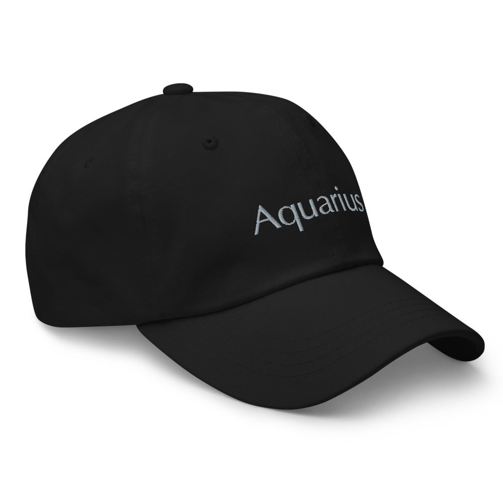 Will Gittens - "This is my sign - Aquarius (air)" - Dad hat